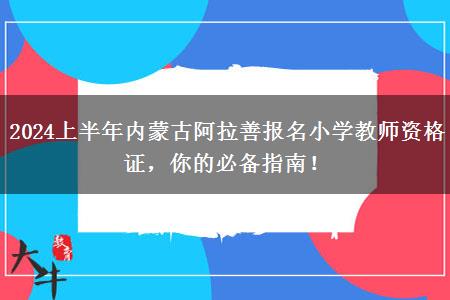 2024上半年内蒙古阿拉善报名小学教师资格证，你的必备指南！