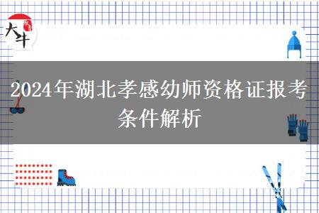 2024年湖北孝感幼师资格证报考条件解析