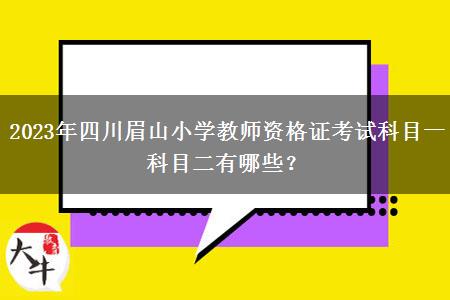 2023年四川眉山小学教师资格证考试科目一科目二有哪些？