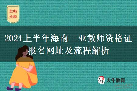 2024上半年海南三亚教师资格证报名网址及流程解析