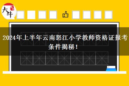 2024年上半年云南怒江小学教师资格证报考条件揭秘！