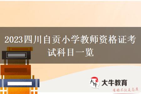 2023四川自贡小学教师资格证考试科目一览