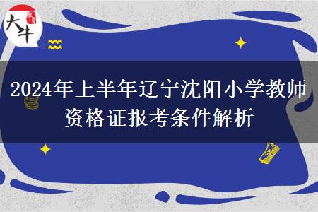 2024年上半年辽宁沈阳小学教师资格证报考条件解析