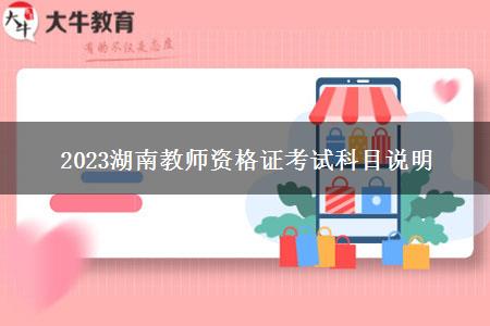 2023湖南教师资格证考试科目说明