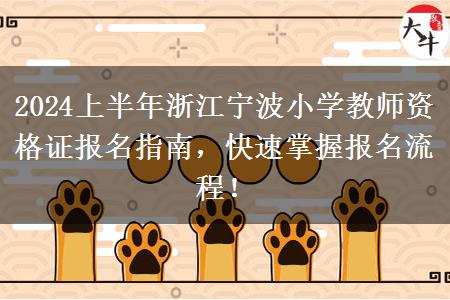 2024上半年浙江宁波小学教师资格证报名指南，快速掌握报名流程！