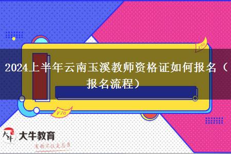 2024上半年云南玉溪教师资格证如何报名（报名流程）