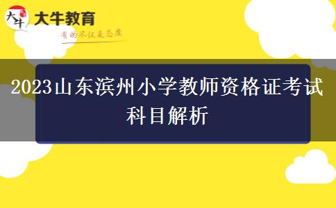 2023山东滨州小学教师资格证考试科目解析