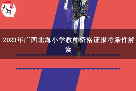 2023年广西北海小学教师资格证报考条件解读