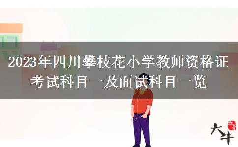 2023年四川攀枝花小学教师资格证考试科目一及面试科目一览