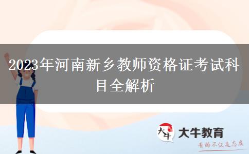 2023年河南新乡教师资格证考试科目全解析