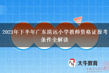 2023年下半年广东清远小学教师资格证报考条件全解读