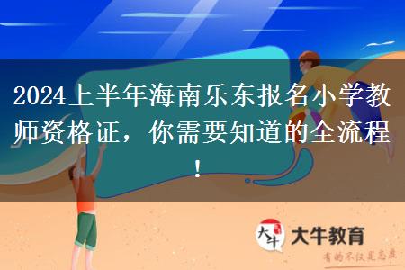 2024上半年海南乐东报名小学教师资格证，你需要知道的全流程！