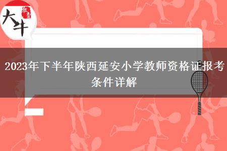 2023年下半年陕西延安小学教师资格证报考条件详解