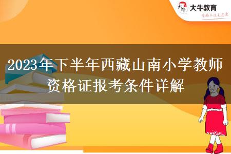 2023年下半年西藏山南小学教师资格证报考条件详解