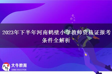 2023年下半年河南鹤壁小学教师资格证报考条件全解析