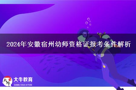 2024年安徽宿州幼师资格证报考条件解析