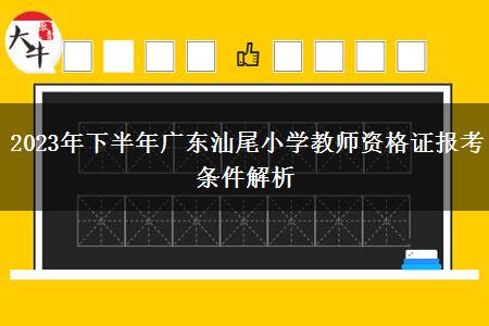 2023年下半年广东汕尾小学教师资格证报考条件解析