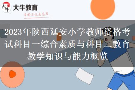 2023年陕西延安小学教师资格考试科目一综合素质与科目二教育教学知识与能力概览