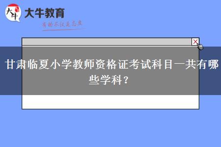 甘肃临夏小学教师资格证考试科目一共有哪些学科？