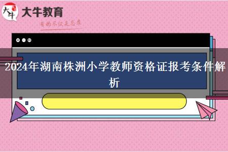 2024年湖南株洲小学教师资格证报考条件解析