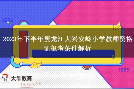 2023年下半年黑龙江大兴安岭小学教师资格证报考条件解析