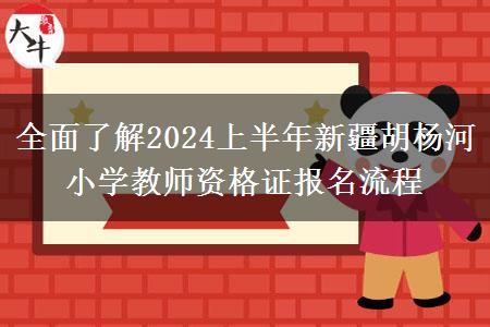 全面了解2024上半年新疆胡杨河小学教师资格证报名流程