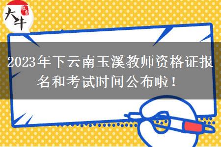 2023年下云南玉溪教师资格证报名和考试时间公布啦！