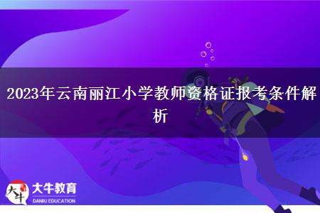 2023年云南丽江小学教师资格证报考条件解析