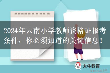 2024年云南小学教师资格证报考条件，你必须知道的关键信息！