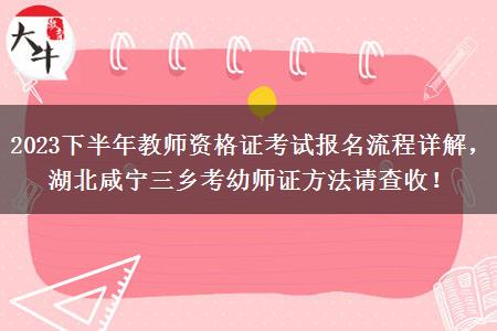 2023下半年教师资格证考试报名流程详解，湖北咸宁三乡考幼师证方法请查收！