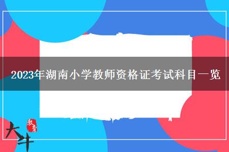 2023年湖南小学教师资格证考试科目一览