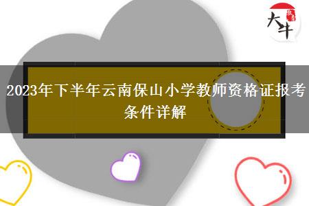 2023年下半年云南保山小学教师资格证报考条件详解