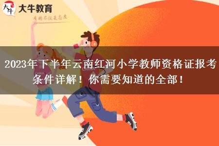 2023年下半年云南红河小学教师资格证报考条件详解！你需要知道的全部！