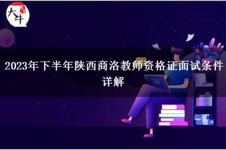 2023年下半年陕西商洛教师资格证面试条件详解