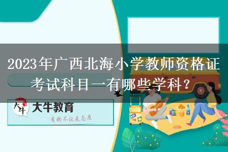 2023年广西北海小学教师资格证考试科目一有哪些学科？