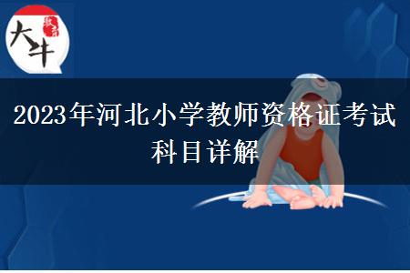 2023年河北小学教师资格证考试科目详解