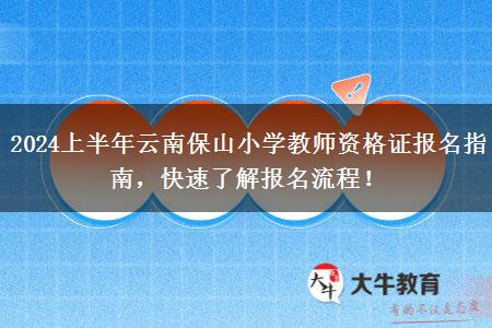 2024上半年云南保山小学教师资格证报名指南，快速了解报名流程！