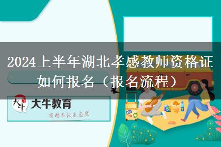 2024上半年湖北孝感教师资格证如何报名（报名流程）