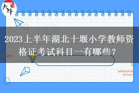 2023上半年湖北十堰小学教师资格证考试科目一有哪些？