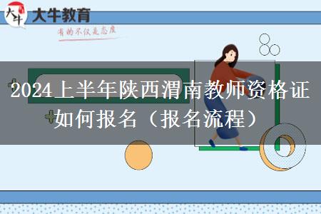 2024上半年陕西渭南教师资格证如何报名（报名流程）