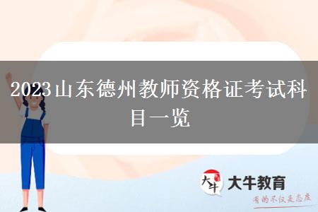 2023山东德州教师资格证考试科目一览